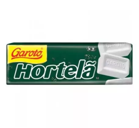 GAROTO PASTILHA HORTELA 