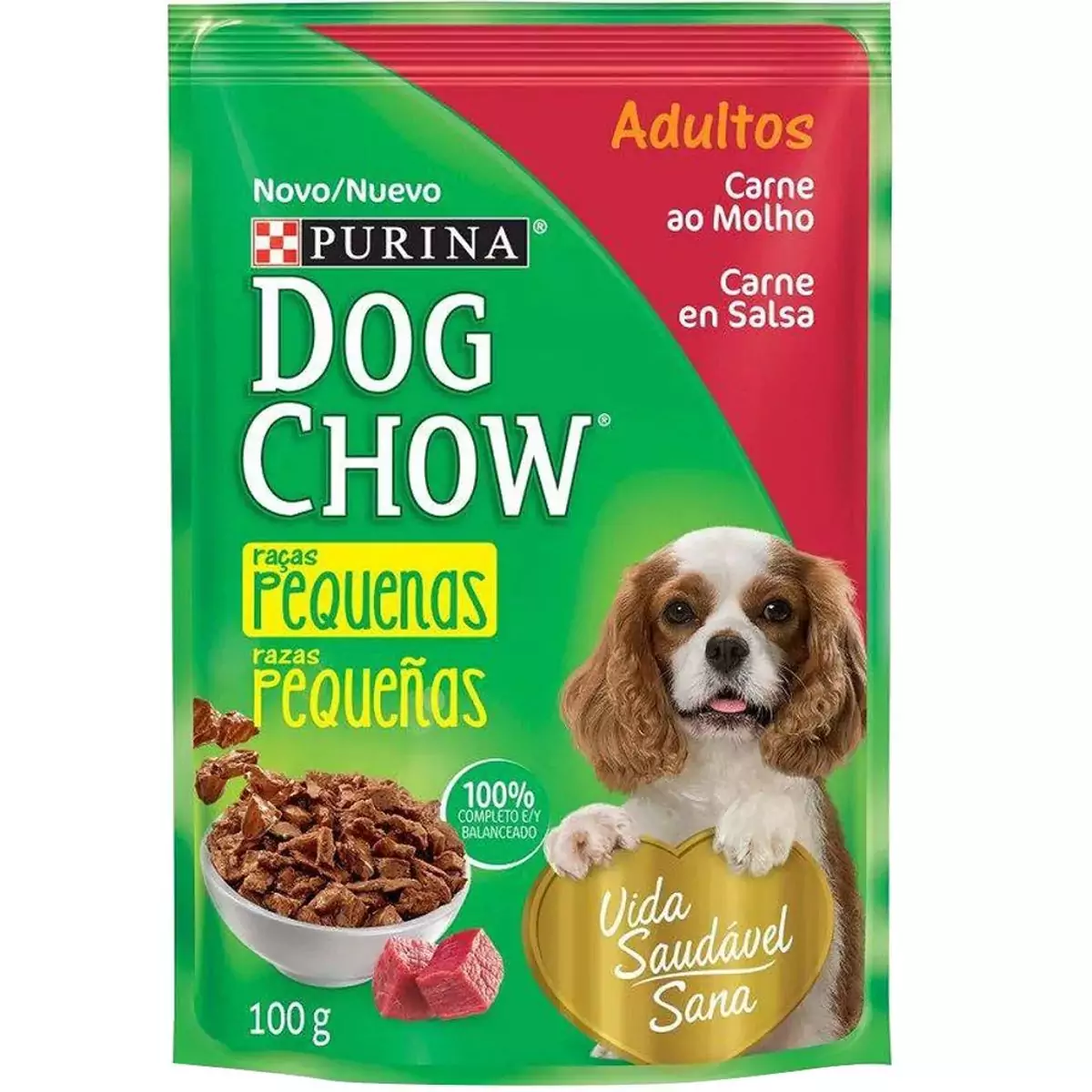 DOG CHOW CARNE 100G 
