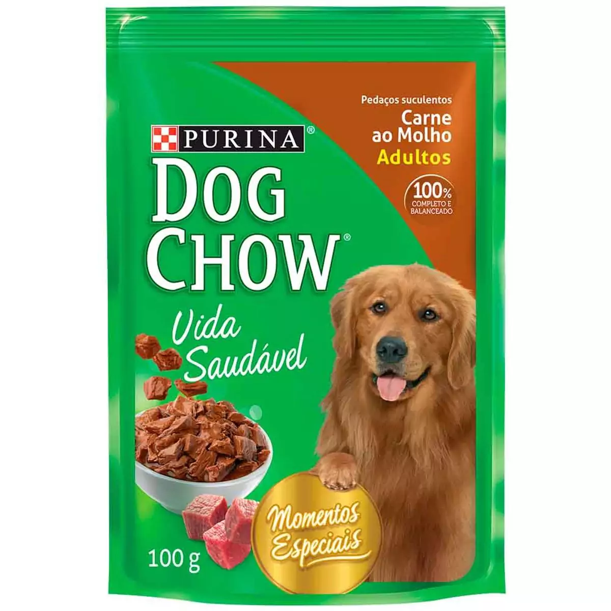 DOG CHOW CARNE 100G